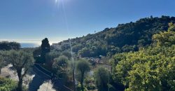 Appartement 4/5 Pièces – superficie de 80 m2 – Haut Borrigo, Quartier du Suillet – Balcon – Etage élevé – Parking