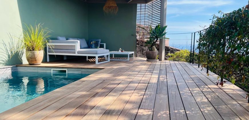 SOUS OPFFRE – Villa 6P parc Estienne d’Orves, vue mer, dépendance, piscine SUD OUEST