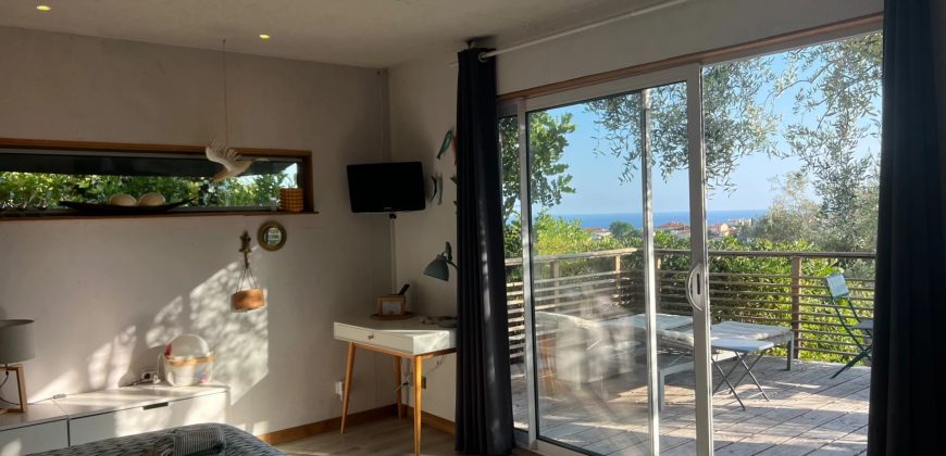 SOUS OPFFRE – Villa 6P parc Estienne d’Orves, vue mer, dépendance, piscine SUD OUEST