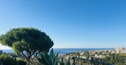 SOUS OPFFRE – Villa 6P parc Estienne d’Orves, vue mer, dépendance, piscine SUD OUEST