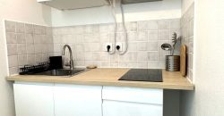 Nice Riquier 2p 25m2 meublé avec terrasse