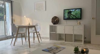 Cannes, bas BD Carnot, au calme, Grand studio meublé 30m2 avec terrasse, Très bon état, cave, expo OUEST