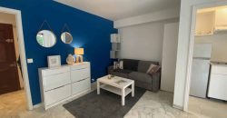 Cannes, bas BD Carnot, au calme, Grand studio meublé 30m2 avec terrasse, Très bon état, cave, expo OUEST