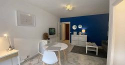 Cannes, bas BD Carnot, au calme, Grand studio meublé 30m2 avec terrasse, Très bon état, cave, expo OUEST