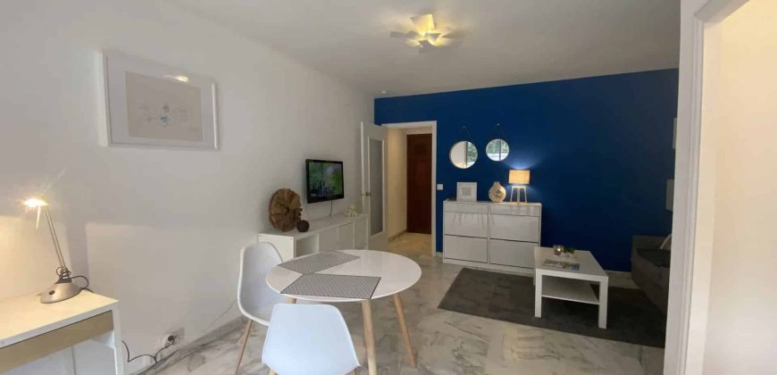 Cannes, bas BD Carnot, au calme, Grand studio meublé 30m2 avec terrasse, Très bon état, cave, expo OUEST