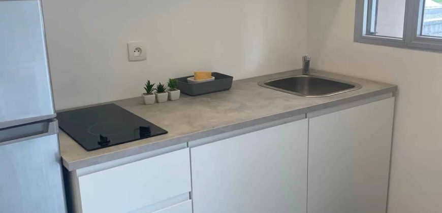 Cannes, bas BD Carnot, au calme, Grand studio meublé 30m2 avec terrasse, Très bon état, cave, expo OUEST